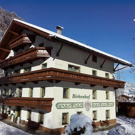 Pension Birkenhof Майрхофен Экстерьер фото