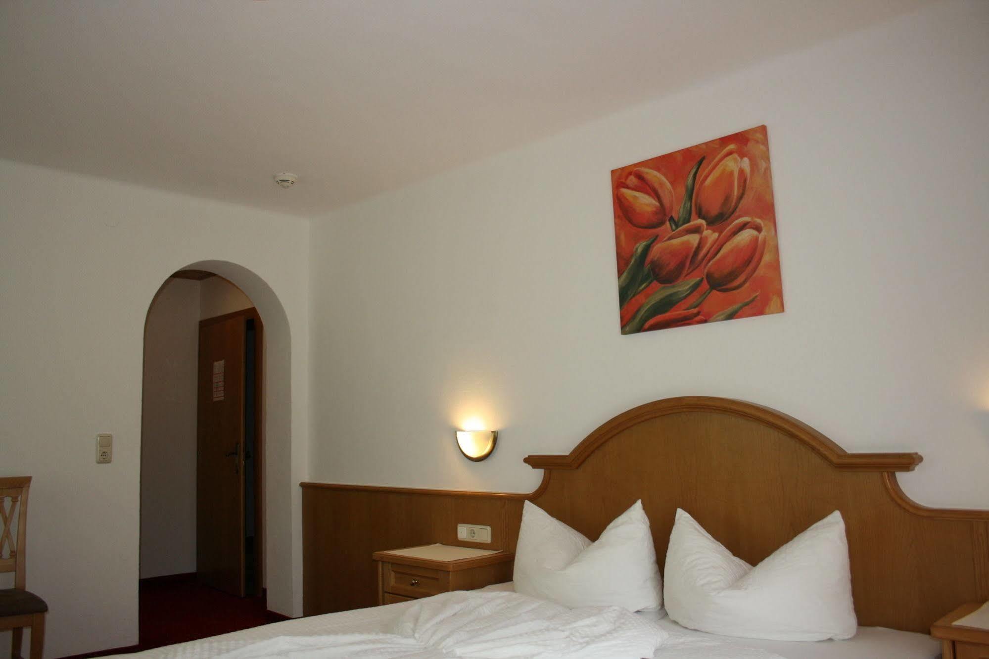 Pension Birkenhof Майрхофен Экстерьер фото